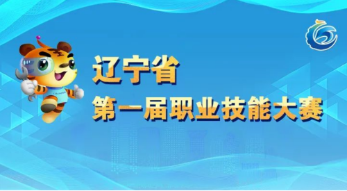 辽宁省第一届职业技能大赛（图解版）